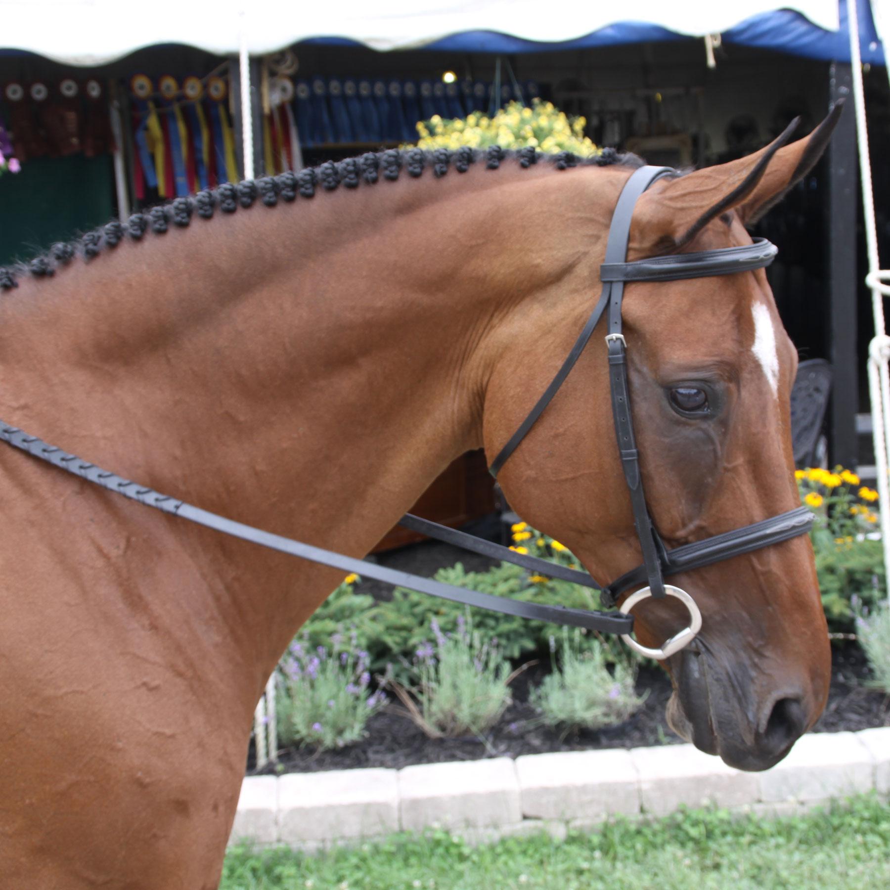 BLACK FRIDAY - Pinnacle Padded Fancy Stitched Bridle Full Size Chestnut