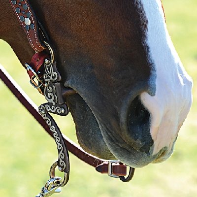 Pákové udidlo Horseshoe