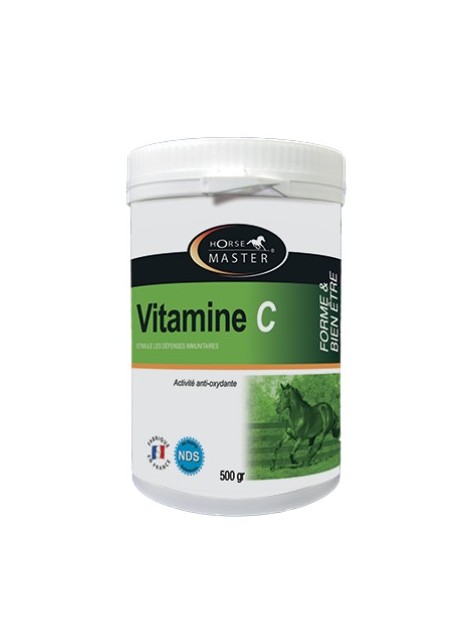 Horse Master VITAMIN C 500g