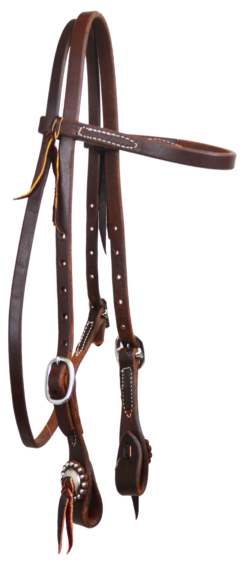 Paul Taylor Oiled Harness Leather Double Stainless Buckle Browband Heastall