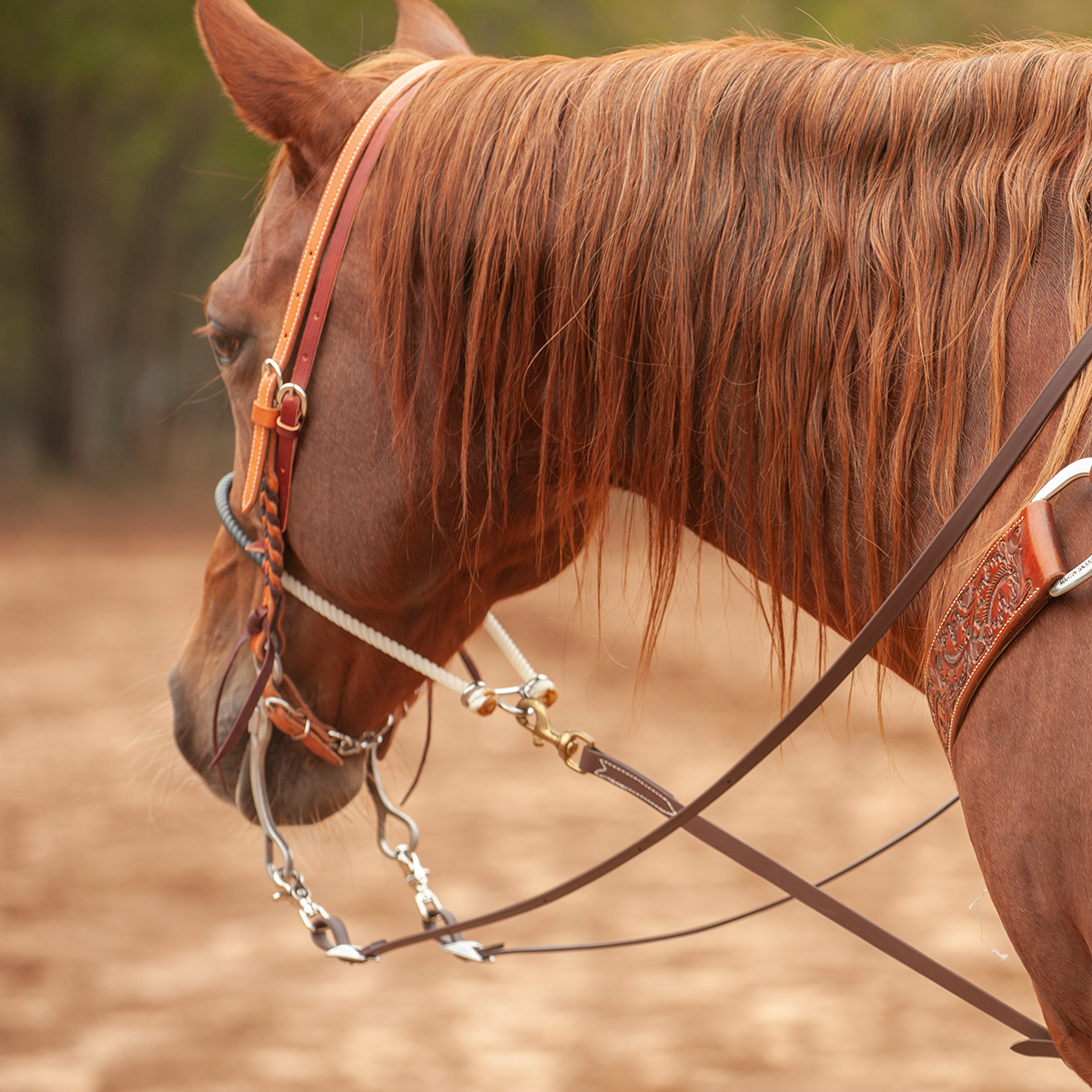 Martin Saddlery Bio Brown Roping Rein Biothane 5/8" w/ 2 Snaps