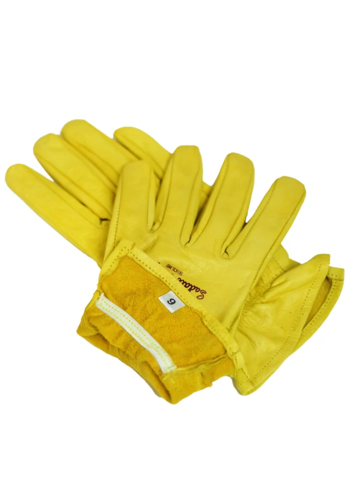 Paul Taylor Leather Gloves