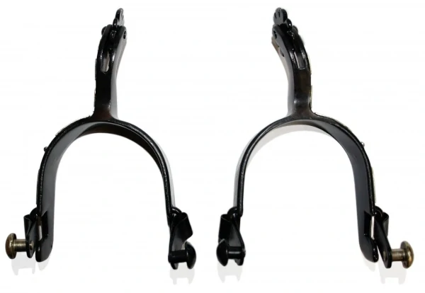 Western Spurs Ladies Show Reiner