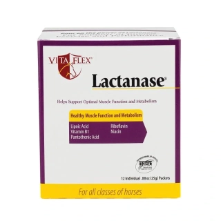 Lactanase EXPIRACE 5/2026