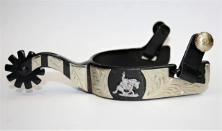 Western Spurs Ladies Show Reiner